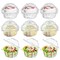 150 Pieces Individual Cupcake Holder, Thick Clear Plastic Dome Single Cupcake Carrier Muffin Container Holders Cases Boxes Cups for Sandwich, Hamburgers, Fruit, Salad, Party Favor Cake